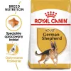 Sausas šunų ėdalas Royal Canin German Shepherd Adult, 11 kg – stambios veislės, paukštiena, 24% baltymų, 19% riebalų