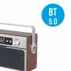 Nešiojamas radijas MANTA RDI917PRO su Bluetooth ir USB atkūrimu