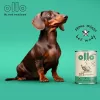 OLLO Umami Žąsis ir kalakutas – šlapi šunų ėdalai 850g