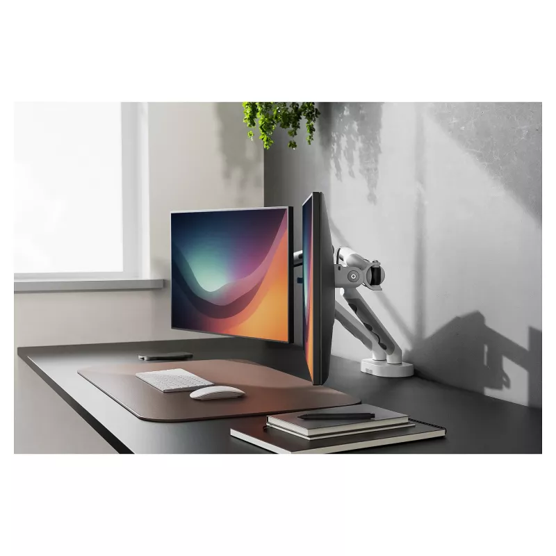Laikiklis monitoriams DIGITUS Dual, dviem 35 colių ekranams, spaustuvas, 2×10 kg, VESA 75–100, pakreipimas -45–90°
