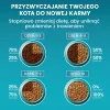 PURINA One Bifensis Sterilcat Beef - sausas kačių maistas - 800 g