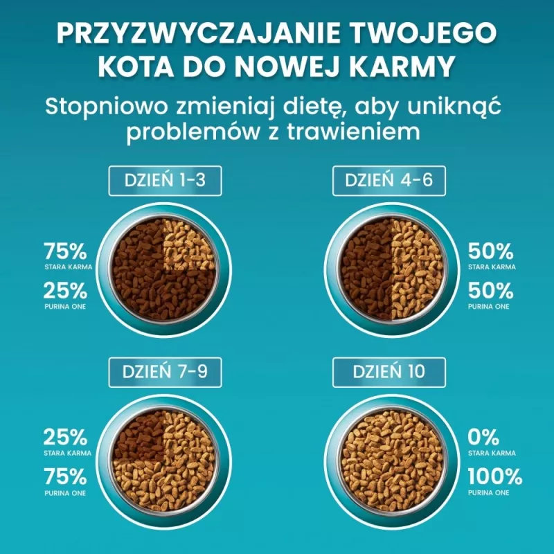 PURINA One Bifensis Sterilcat Beef - sausas kačių maistas - 800 g