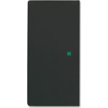 Busch-Jaeger 2CKA006220A0503 Dengimo plokštelė jutiklio laikikliui ir lizdui, juoda