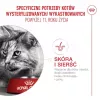 Sausas kačių ėdalas Royal Canin FHN Ageing Sterilised 11+ paukštiena 4 kg