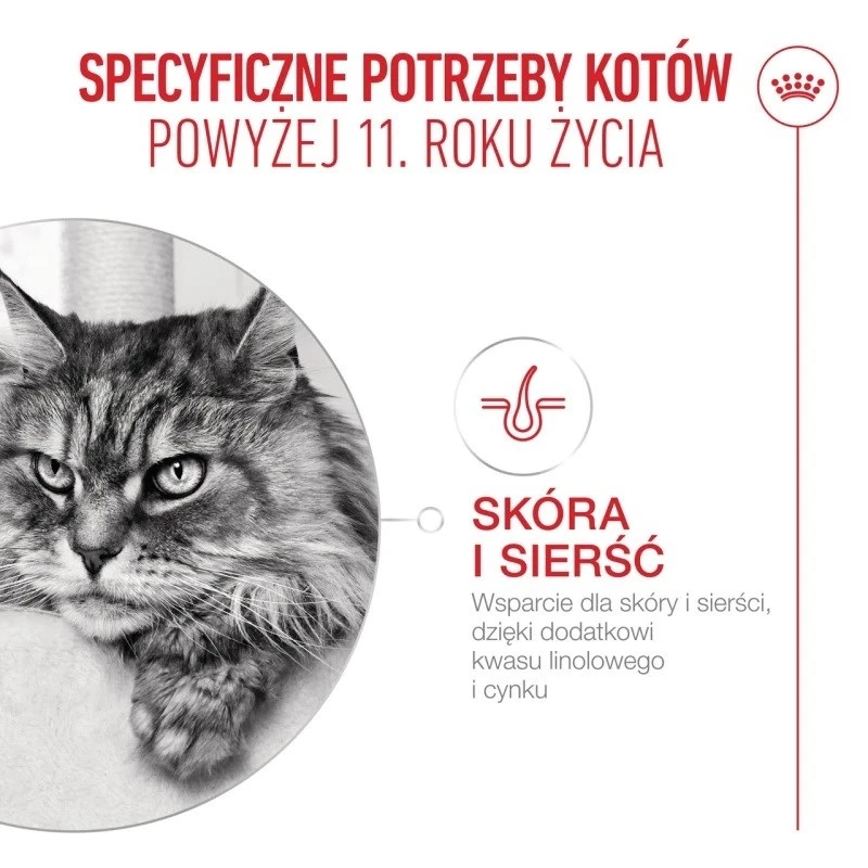 Sausas kačių ėdalas Royal Canin FHN Ageing 11+ 4 kg – pilnavertis ėdalas senjorėms katėms, paukštiena, 30% baltymų