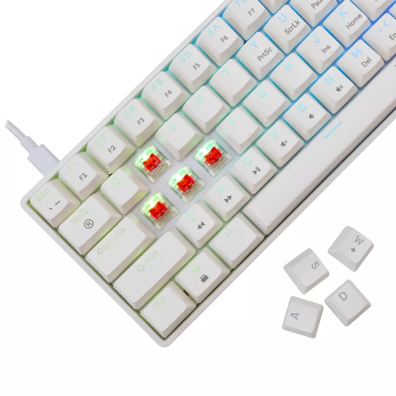 Laidinis mechaninis klaviatūra White Shark Shinobi-2 (GK-004211) — US išdėstymas, raudoni jungikliai, balta