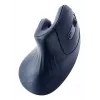 Gembird MUSW-ERGO-03 pelė Home Dešinei rankai RF Belaidė Optinė 1600 DPI
