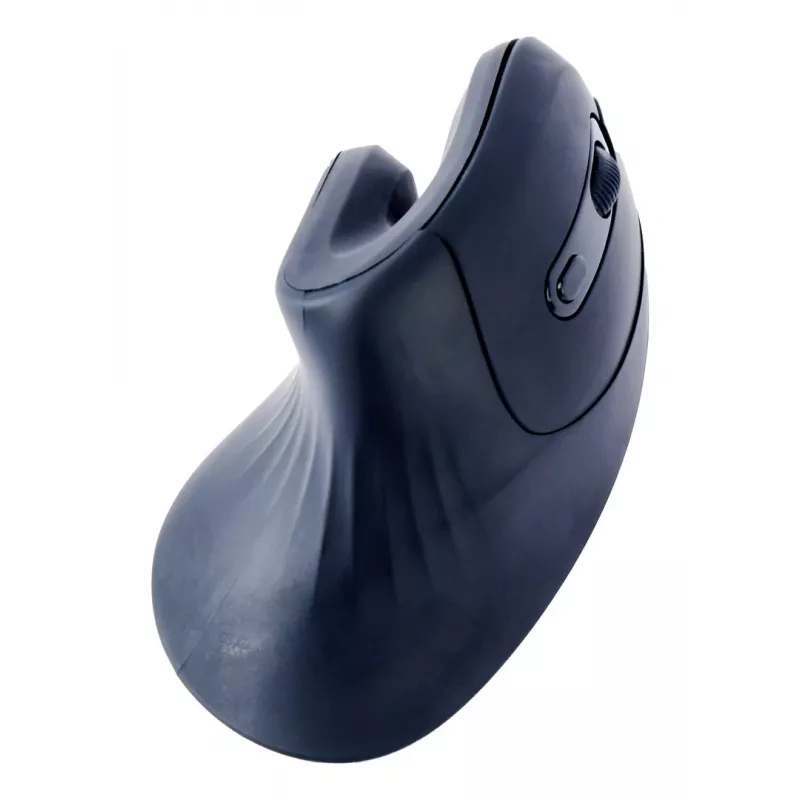 Gembird MUSW-ERGO-03 pelė Home Dešinei rankai RF Belaidė Optinė 1600 DPI