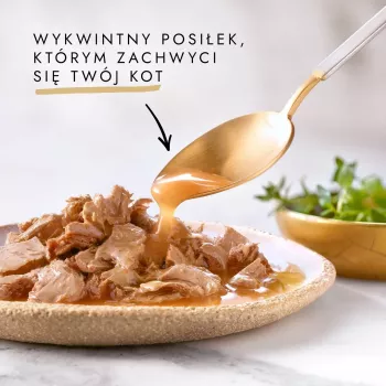 GOURMET Gold Sauce Delight Jautiena – šlapias kačių ėdalas – 85 g