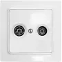 Eltako TV/RF dengiamoji plokštelė E-Design55 TV55E/2-wg (30055838)