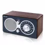 Nešiojamas radijo imtuvas Eltra CZAJKA Bluetooth FM radijas ir belaidis srautinis garso transliavimas