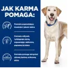 HILL'S PD D/D Food Sensitivities, antiena ir ryžiai - sausas šunų ėdalas - 4kg