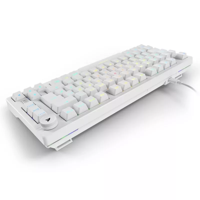 Klaviatūra Sharkoon SGK25 75% QWERTZ USB laidinė RGB LED balta
