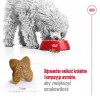 ROYAL CANIN Adult Mini S – sausas šunų ėdalas – 4 kg