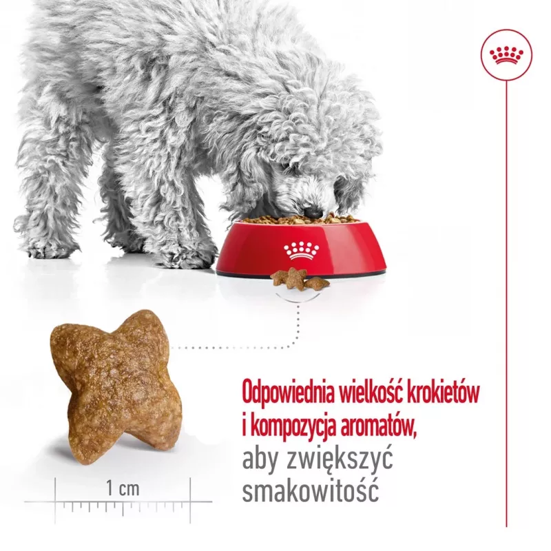 ROYAL CANIN Adult Mini S – sausas šunų ėdalas – 4 kg
