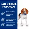 HILL'S Prescription Diet svorio metimui r/d - šlapias šunų maistas - 350g