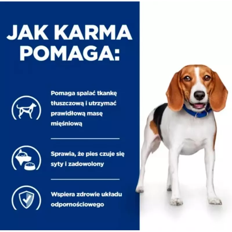 HILL'S Prescription Diet svorio metimui r/d - šlapias šunų maistas - 350g