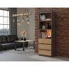 Biuro spintelė knygoms top e shop RS-60 ANT/ART KPL – 3 lentynos, medžio drožlių plokštė, 600×350×1800 mm