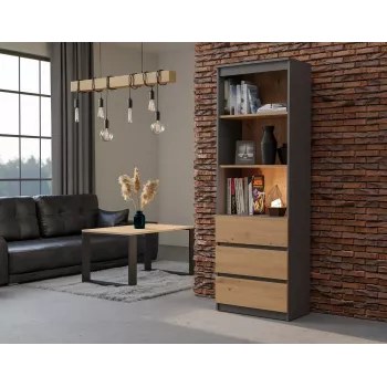 Biuro spintelė knygoms top e shop RS-60 ANT/ART KPL – 3 lentynos, medžio drožlių plokštė, 600×350×1800 mm