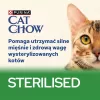 PURINA Cat Chow Sterilised Gig vištiena su baklažanu – drėgnas kačių ėdalas 85 g