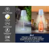 Garinis maisto garintuvas Beper P201UTP124 2 lygiai 800 W, stalviršio maisto garintuvas