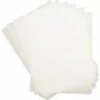 Laminavimo maišeliai DAHLE A3 303×426 mm 2×125 μm (250 μm) – 100 vnt.