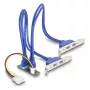 DeLOCK 61066 vidinis USB 3.2 Gen 1 adapteris M.2 (vyriškas) juodas