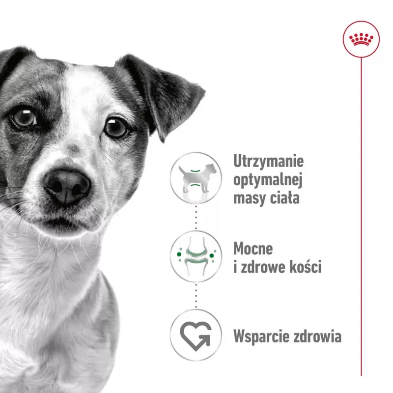 Šlapias šunų ėdalas Royal Canin Mini Adult maišelis 85 g, paukštiena, mažoms veislėms 5–10 kg, 12 × 85 g pakuotė