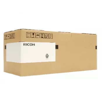 Ricoh RI 1000 Type G1 High Yield (342782) Drabužių spausdinimo kasetė, geltona