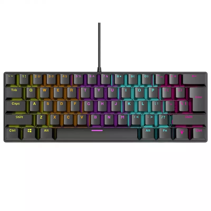 Mechaninė klaviatūra RAMPAGE PLOWER K60 su Blue jungikliais ir RGB foniniu apšvietimu