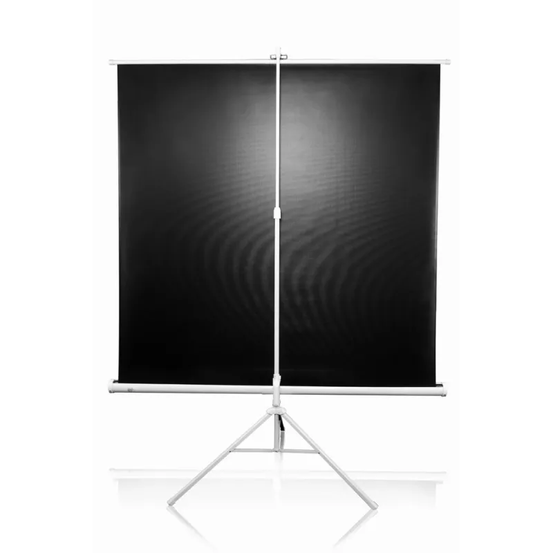Tripoidinis projektorinis ekranas Elite Screens T113NWS1 2,87 m 1:1