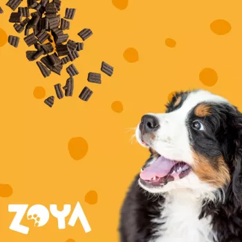 ZOYA ColdPRO Ėriena - sausas šunų ėdalas - 1kg