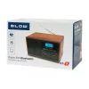 Nešiojamas analoginis AM/FM radijo imtuvas BLOW RA9 V.2
