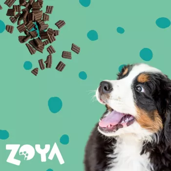 ZOYA ColdPRO Elniena - sausi šunų ėdalai - 1kg