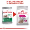 Royal Canin CCN MINI EXIGENT – sausas ėdalas suaugusiems šunims – 3kg