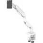 LC-Power LC-EQ-A49W Plokščiaekranis stalo laikiklis 124,5 cm (49 inch) Baltas