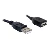 DeLOCK USB 2.0 ilginimo laidas 82457 0,15 m juodas