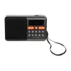 Nešiojamas analoginis AM/FM Bluetooth radijas BLOW RA18