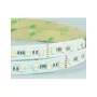 Synergy 21 LED Flex Strip 5050 - 84 RGB DC24V + RGB-WW (RGB-CCT) vienas lustas HD IP20