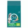 Purina ONE Indoor Formula sausas kačių maistas su kalakutiena, 9,75 kg