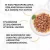 PURINA Gourmet Gold Succulent Delights Ocean fish – šlapias ėdalas katėms – 85 g
