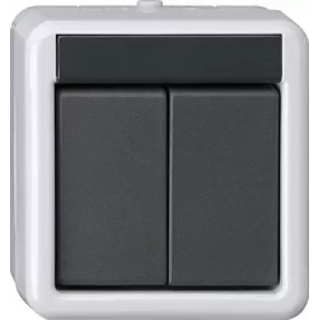GIRA KNX mygtukas BA 2-jų krypčių Pilka AP 2Punkt 516230