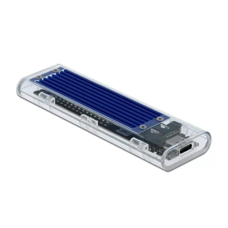 Išorinis dėklas SSD DELOCK 42620 M.2 NVMe PCIe su USB Type-C moterišku lizdu, skaidrus