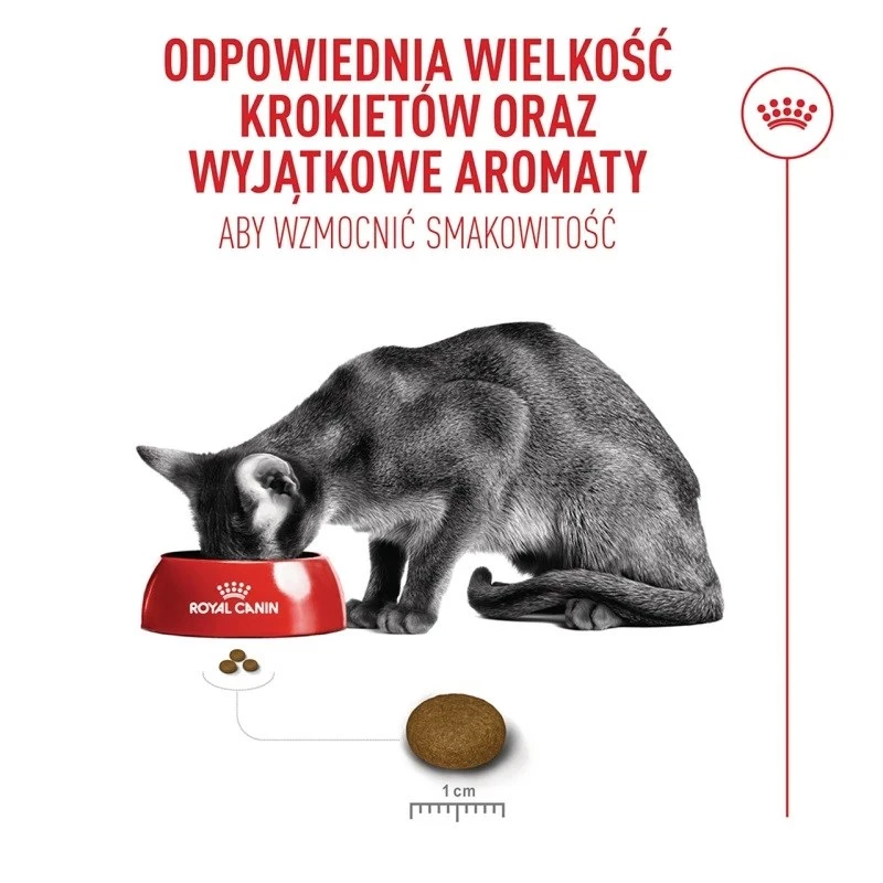 Sausas kačių ėdalas Royal Canin FHN Ageing Sterilised 11+ paukštiena 4 kg