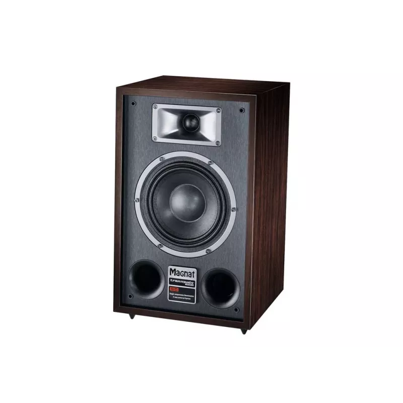 Grindinė kolonėlė Magnat TRANSPULS 800A 2 krypčių laidinė ir belaidė 2×60 W, Bluetooth 5.0, HDMI, juoda/ruda