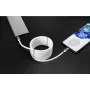 Renkforce USB 2.0 laidas USB-C™ kištukas – USB-C™ kištukas 2,00 m baltas, paauksuoti kontaktai (TO-6886785)