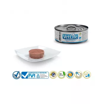 FARMINA Vet Life Hypoallergenic Pork & Potato – šlapias ėdalas katėms – 85 g