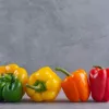 Sėklų mišinys Seklos LT PNOS – Saldžiosios paprikos sėklos, pakuotė 0,6 g