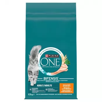 PURINA One Adult Chicken - sausas kačių ėdalas - 9,75kg