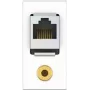 Kindermann 7464000587. Buchsen-Typ: RJ-45 + 3.5mm, Netzwerk-Kabel Kategorie: 6a, Module Menge (max): 1 Modul(e). Produktfarbe: Weiß, Material: Kunstst